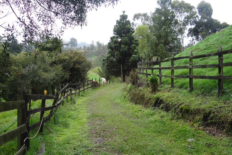 ,Tour por Medellín,Excursión a Antioquía