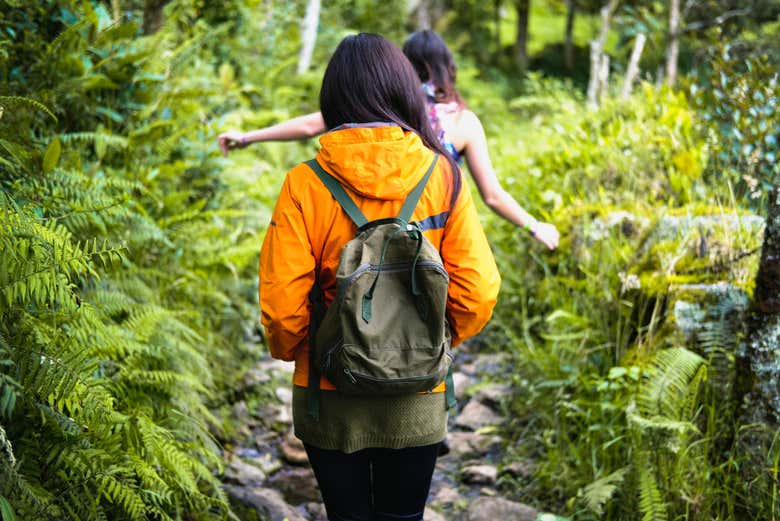 ,Excursión a Antioquía