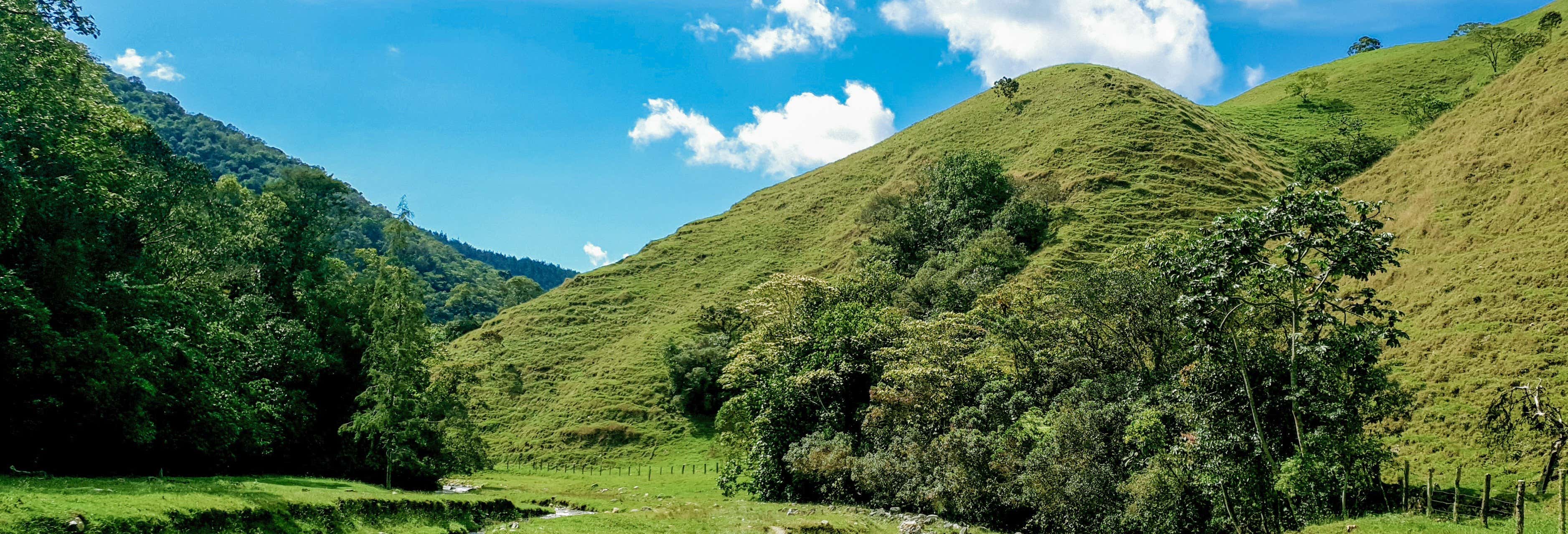 Paseo a caballo por las montañas de Caldas
