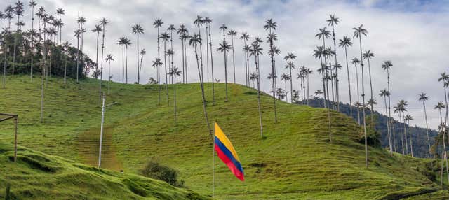 Excursión al Parque del Café