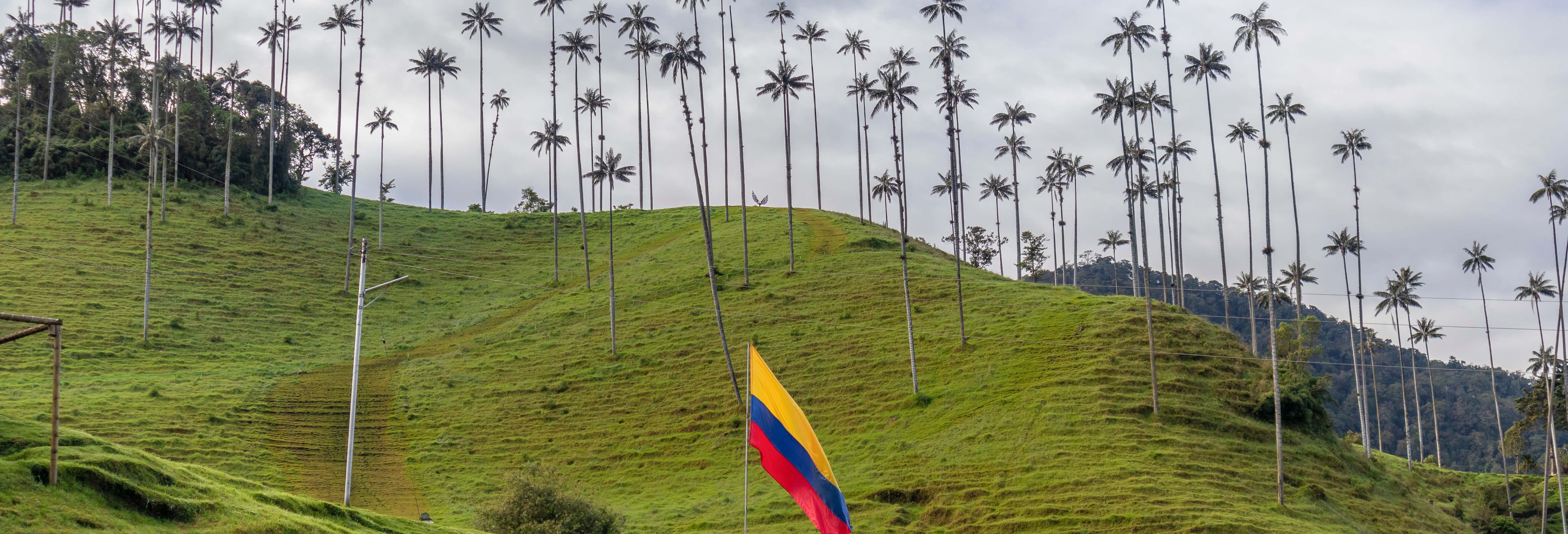 Excursión al Parque del Café