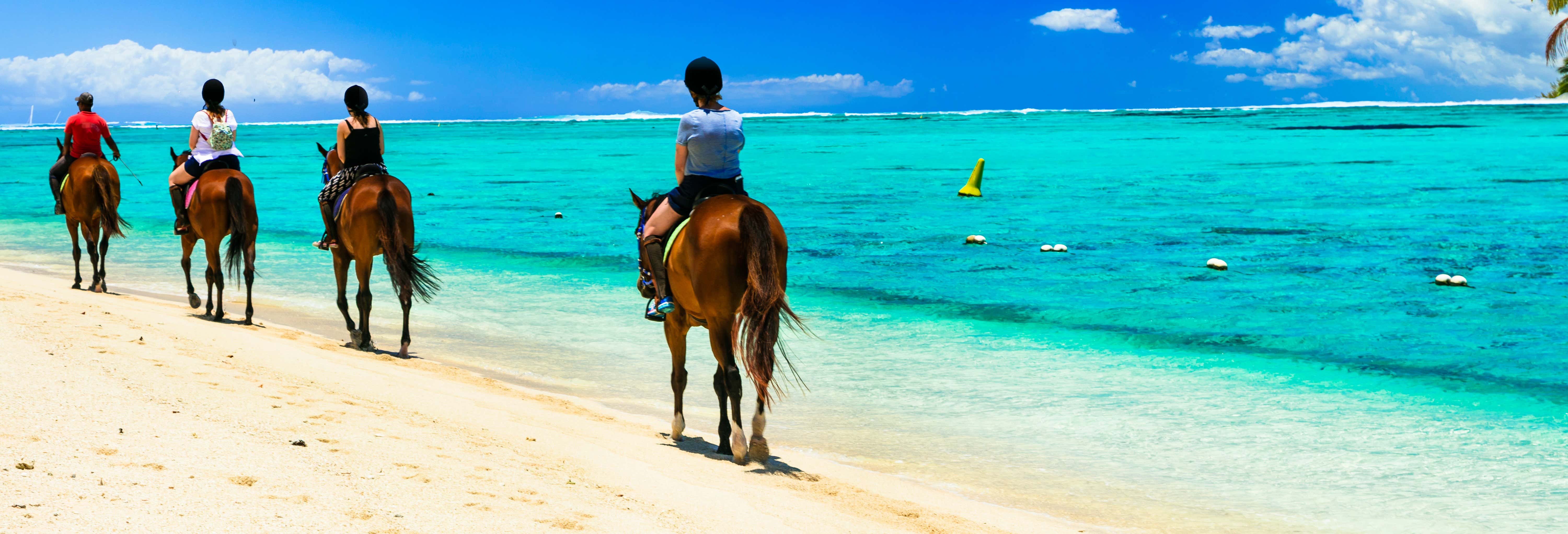 Paseo a caballo por Providencia
