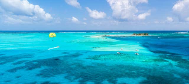 Excursión al Acuario y Rocky Cay