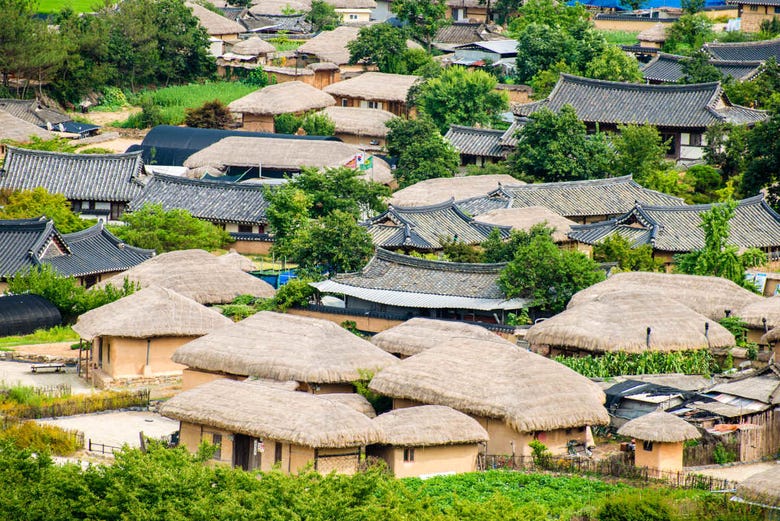  Hahoe  Village Tour from Andong Book Online at Civitatis com
