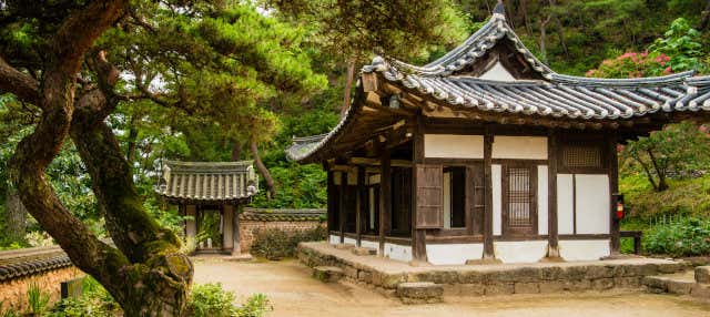 Excursión a Andong