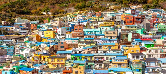 Tour privado por Busan con guía en español
