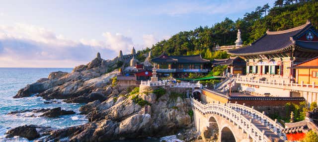 Visite guidée dans Busan