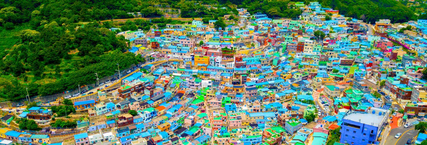 Visita guiada por Busan + Rail Bike