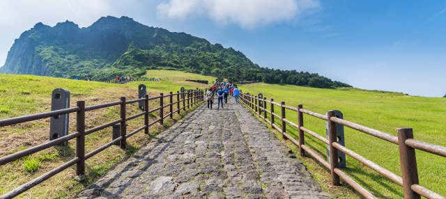 Tour pelo leste de Jeju