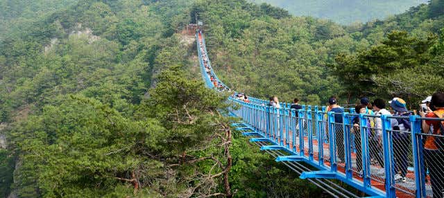 Excursión a Wonju