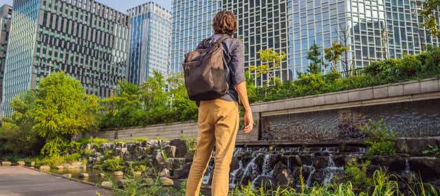 Tour pelo Museu Nacional de Seul e Cheonggyecheon
