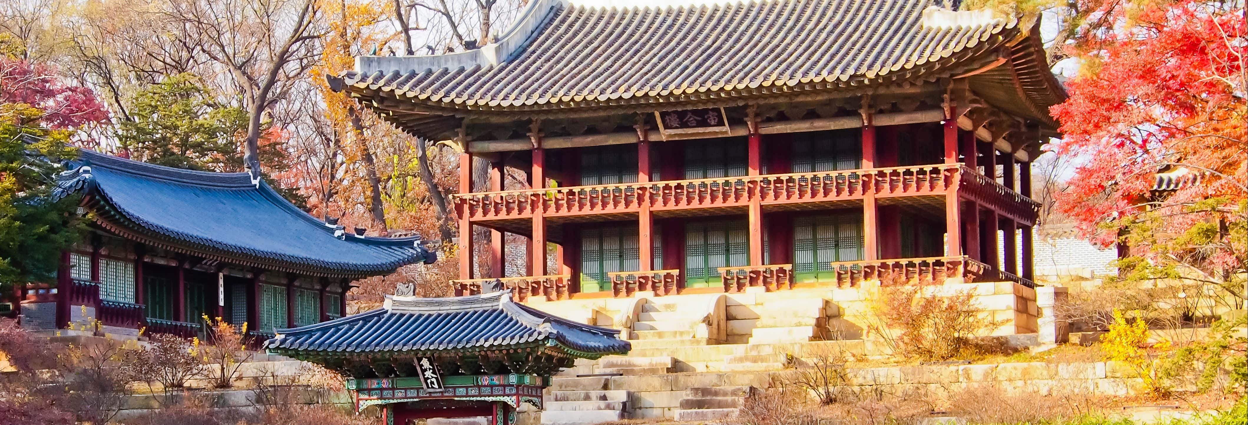 Changdeokgung Palace And Jongmyo Shrine Tour Seoul