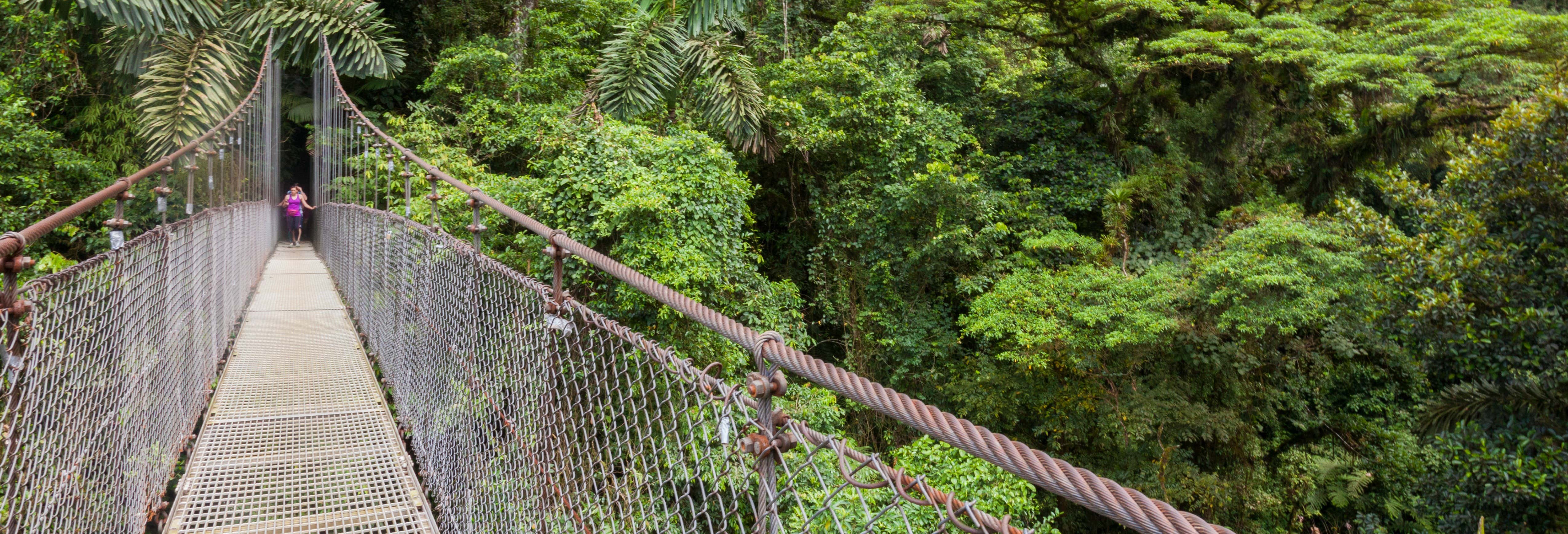 Entrada al Mistico Arenal Hanging Bridges Park