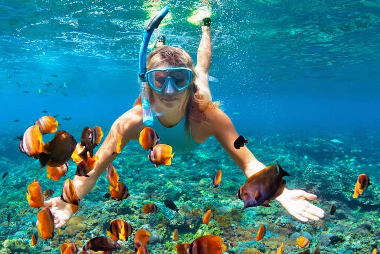 playa mujeres snorkeling