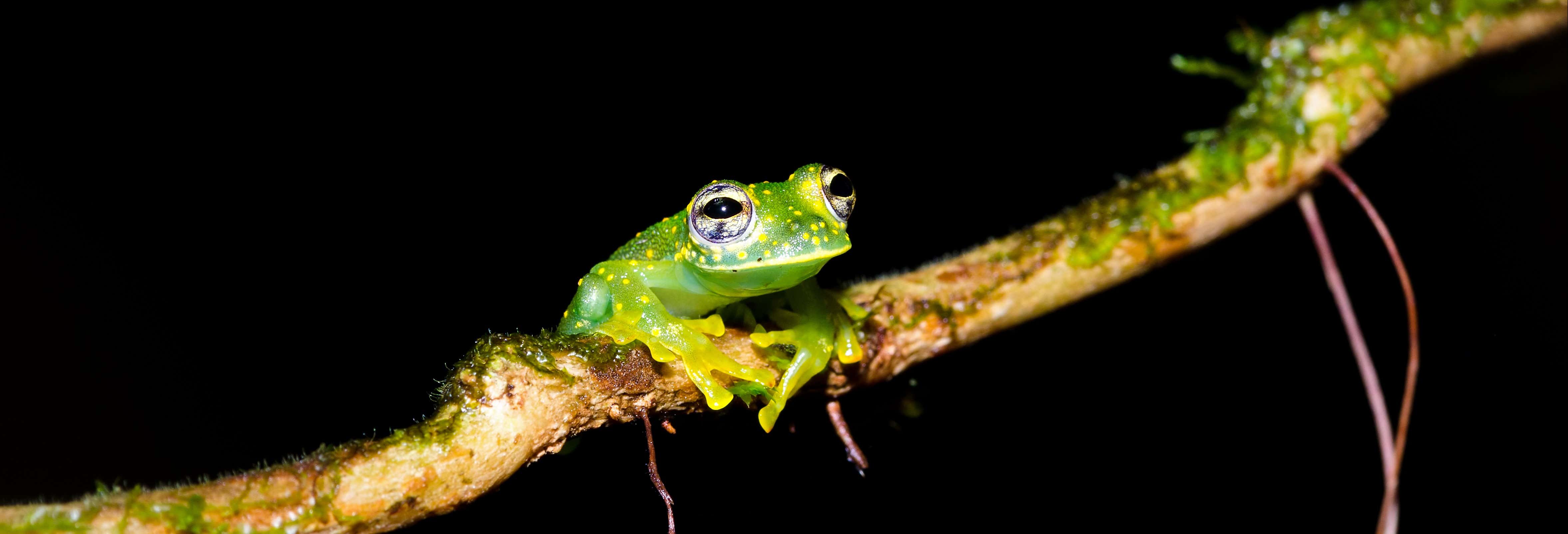 Senderismo nocturno por la finca Río Agujitas