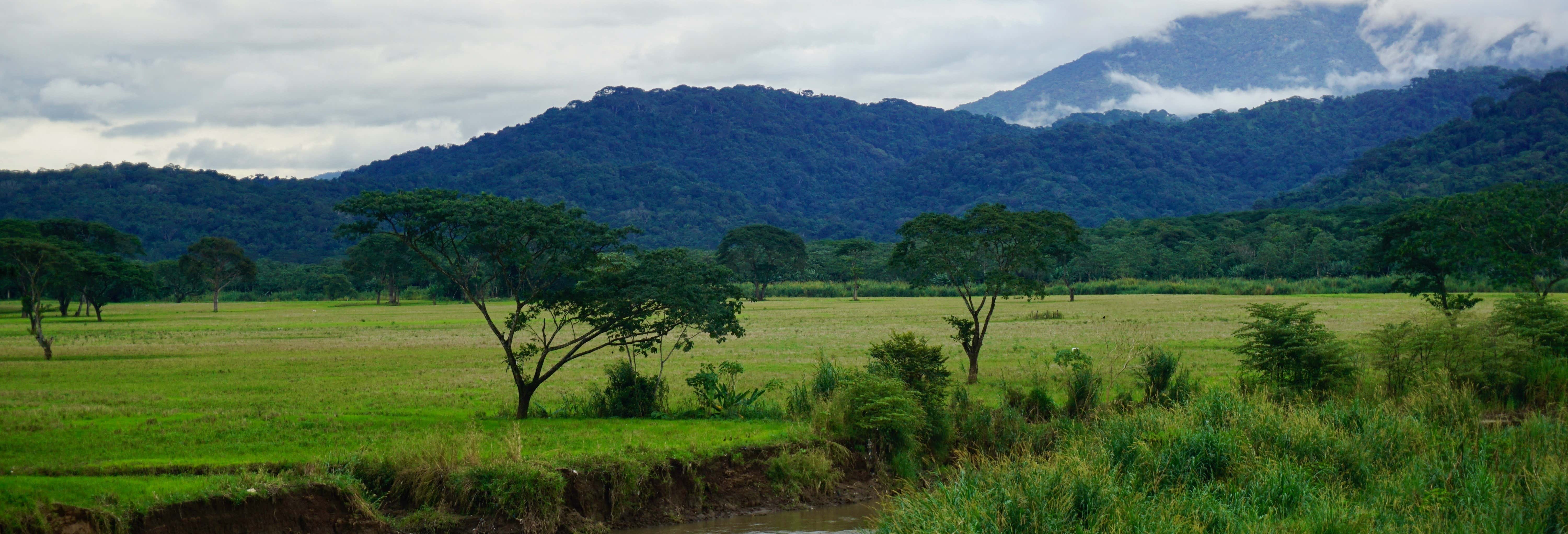 Excursão ao Parque Nacional de Carara