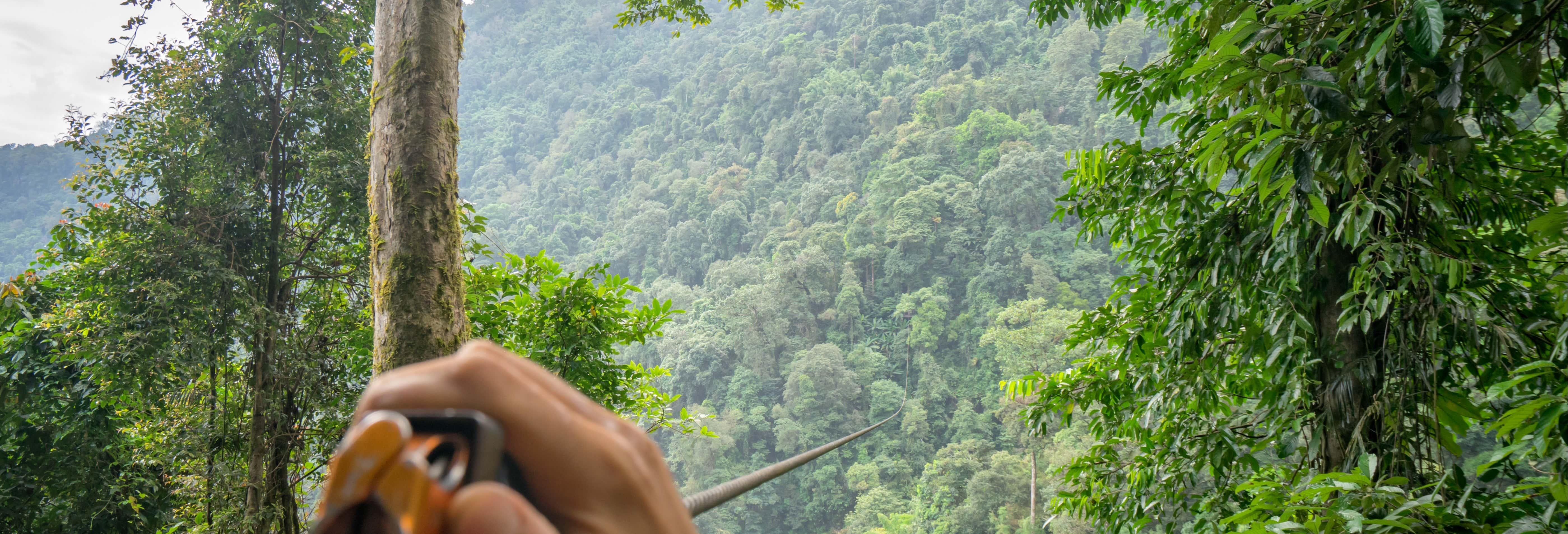 Tirolina sobre la selva tropical