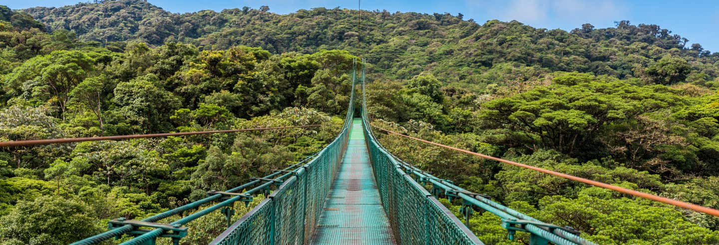 Excursión al Bosque Nuboso Monteverde