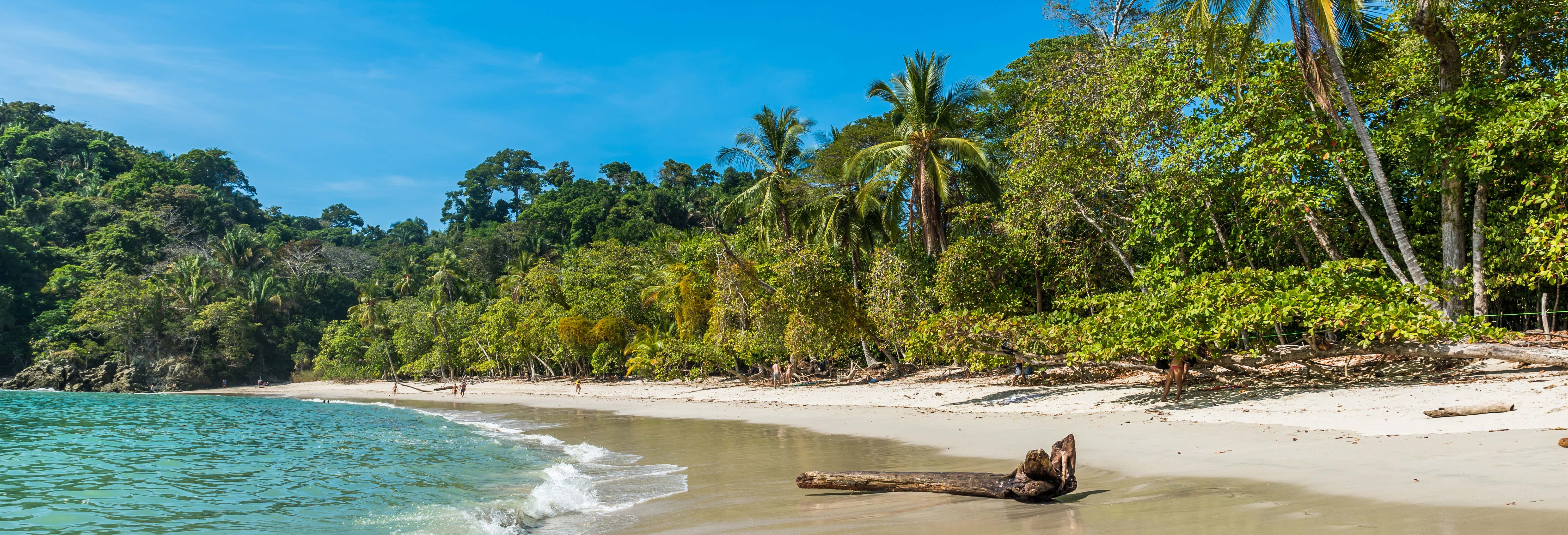 Excursión al Parque Nacional Manuel Antonio