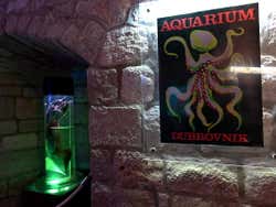 Aquarium de Dubrovnik