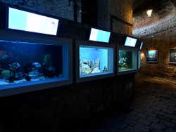 Aquarium
