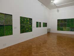 Mostra del Museo di arte moderna