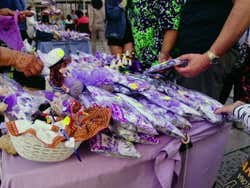 La lavande au marché