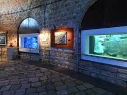 Aquarium de Dubrovnik
