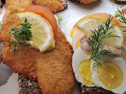 Smørrebrød de salmão