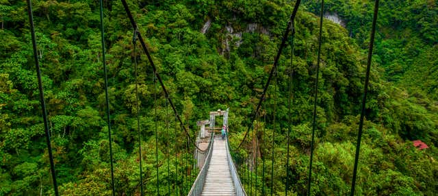 Baños de Agua Santa y Ruta de las Cascadas