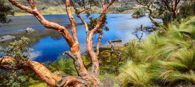Excursão ao Parque Nacional Cajas
