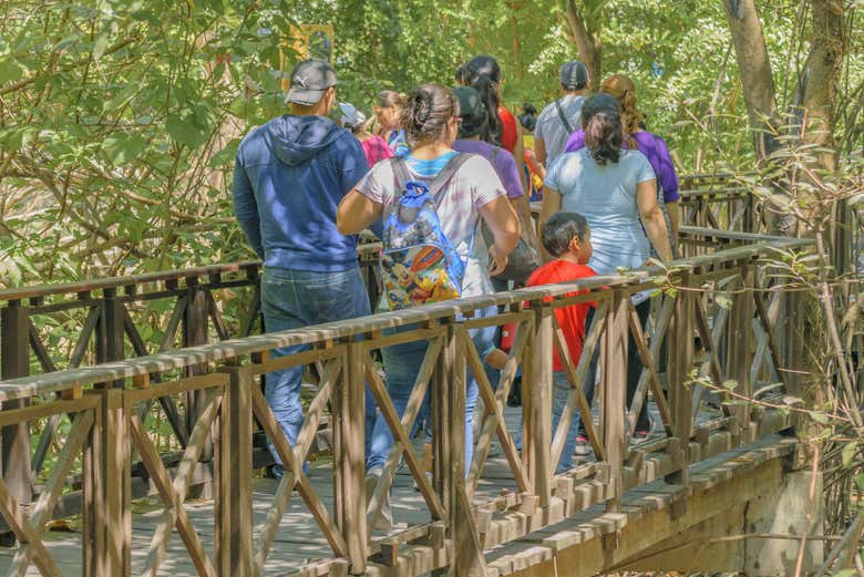 Excursión al bosque Cerro Blanco desde Guayaquil