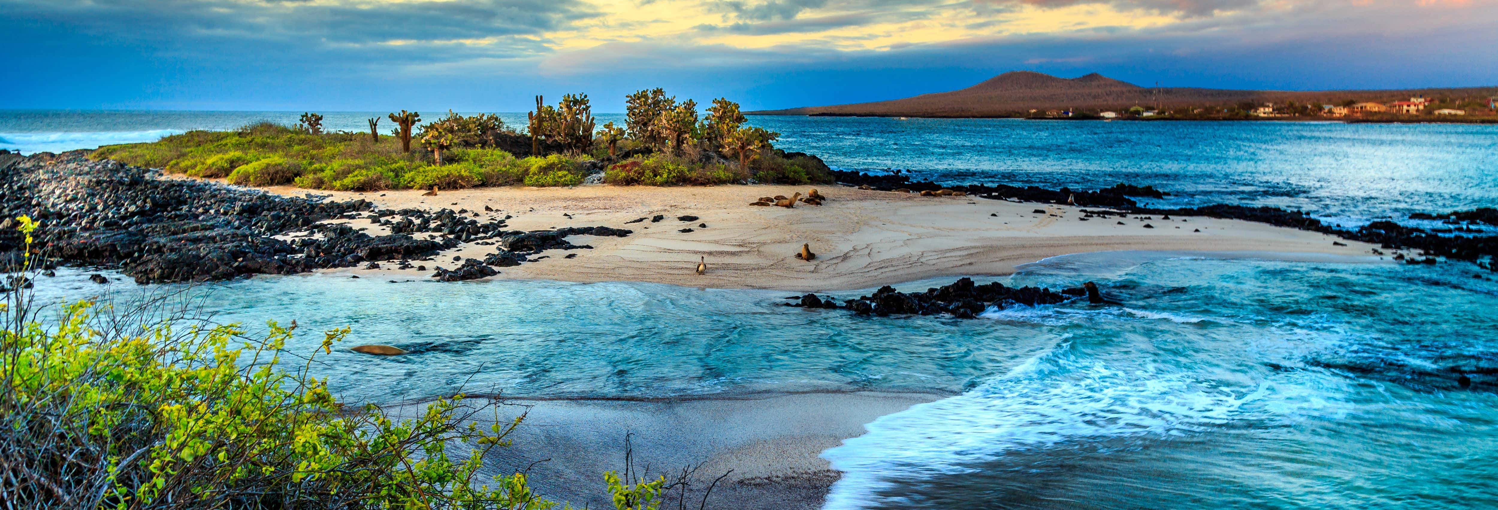 Crucero de 8 días por el norte de las islas Galápagos