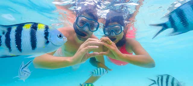 Snorkeling sur l’île de Santa Fe