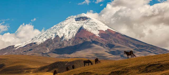 Cotopaxi & Quilotoa Volcanoes Excursion