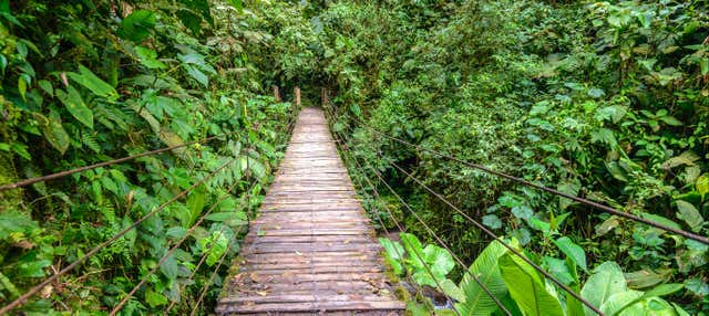 Excursión a Mindo