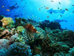 Mergulhando em Sharm el-Sheij