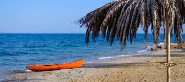 Red Sea Day Trip