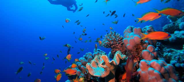 Battesimo dell'acqua nel Mar Rosso