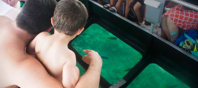 Glass Bottomed Boat Tour