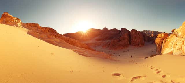 Deserto del Sinai con cena e spettacolo