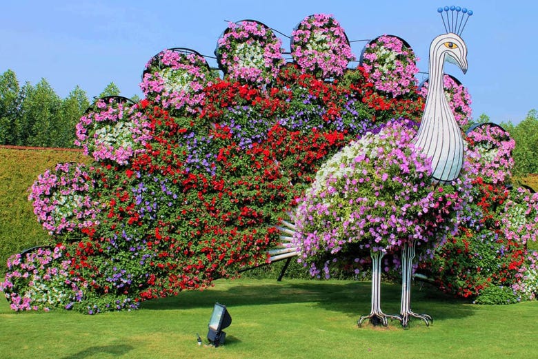 Dubai Butterfly Miracle Gardens Tour Book At Civitatis Com