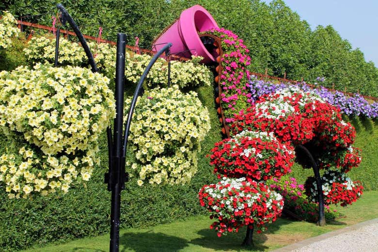  Dubai Miracle Garden Jardin-milagro-dubai