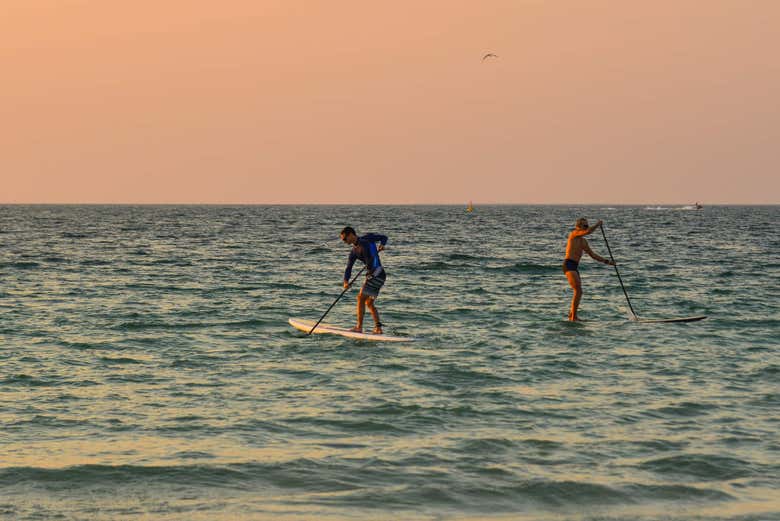 Location de paddle à Dubaï Disfruta Dubai