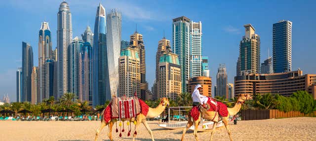 Offer: Tour of Dubai + Desert Safari