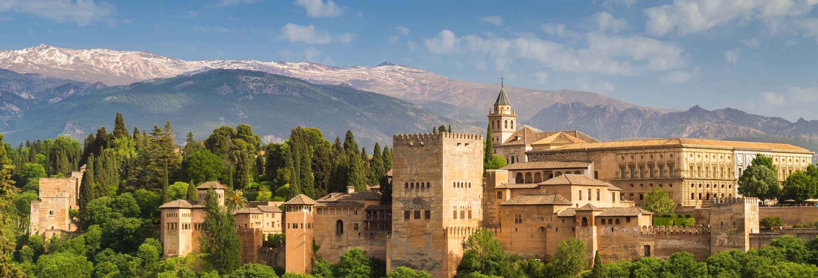 Excursión a Granada desde Aguadulce con visita a la Alhambra