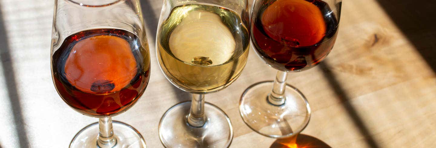 Visita a las bodegas Toro Albalá