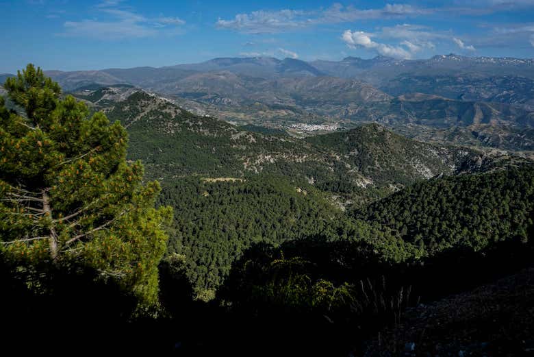 Foto de Parque Natural de Sierra de Huétor en Montillana, Granada