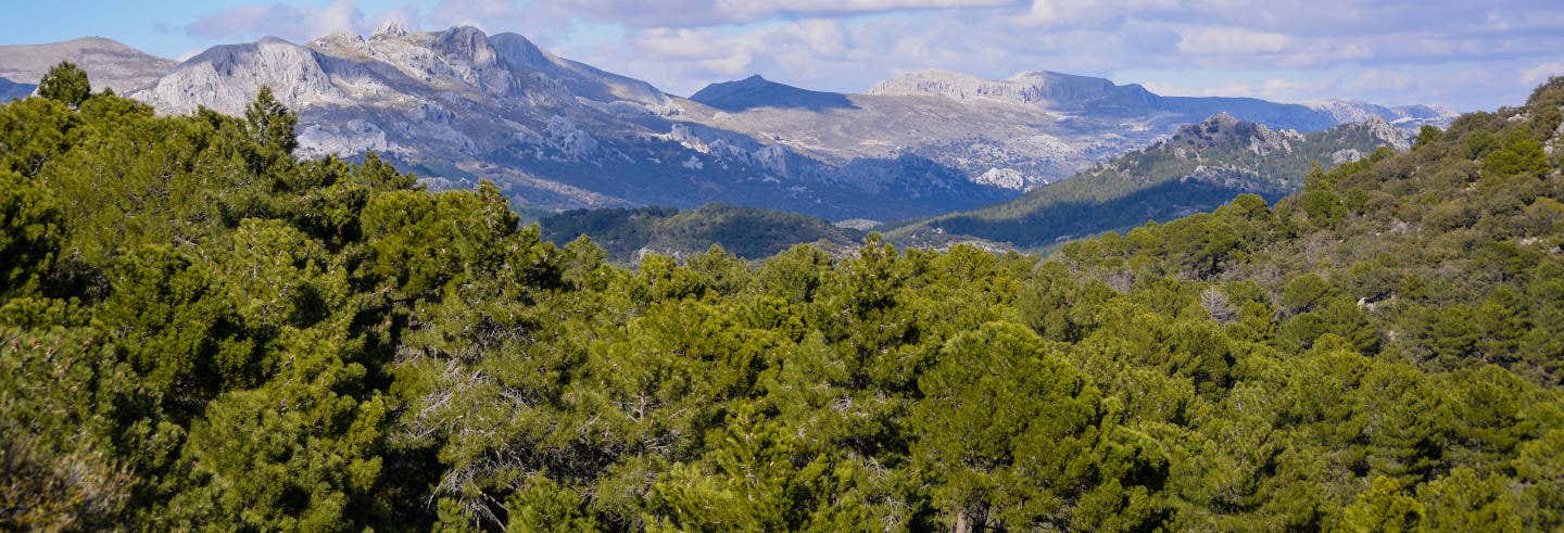 Senderismo por el Parque Natural Sierra de Huétor
