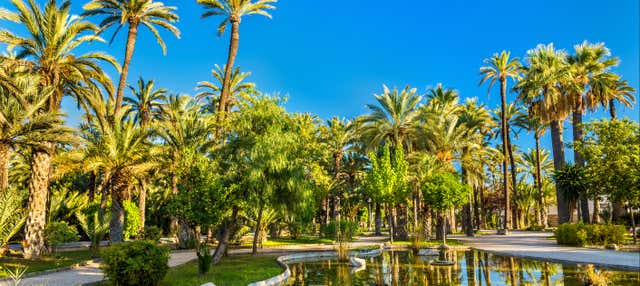 Excursão a Elche e Santa Pola